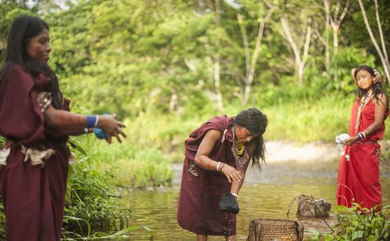 image for Crean grupo de trabajo para protección de comunidades indígenas / Coronavirus