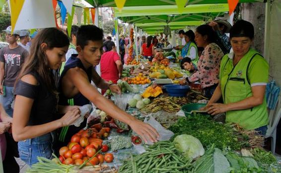 image for Reforma fiscal no gravará los alimentos básicos