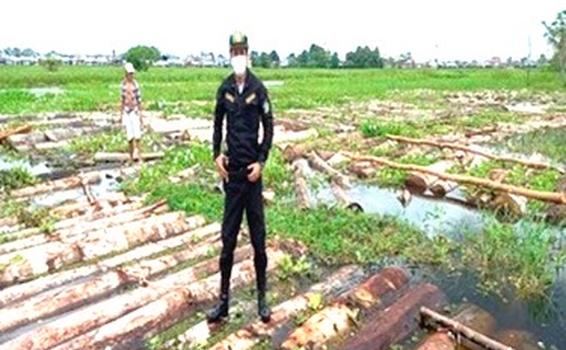 Medio millón de soles incautado en madera image for Medio millón de soles incautado en madera