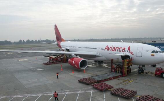 image for Sindicato de Avianca pide sanciones más fuertes para  pasajeros
