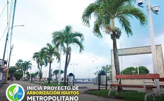 image for Lanzamiento del proyecto arborización Iquitos metropolitano