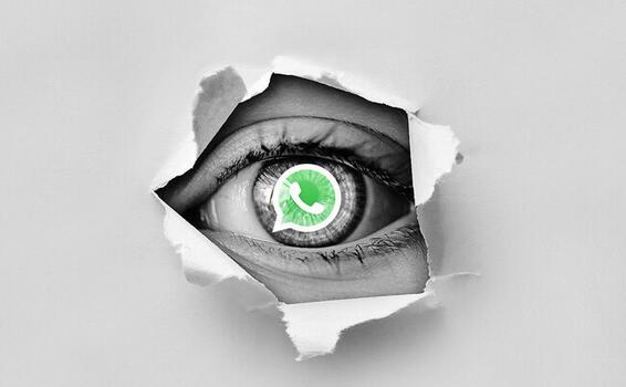 image for Whatsapp acaba la función de espiar si alguien está online
