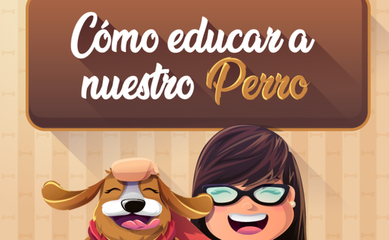 image for Cómo educar a un perro paso a paso