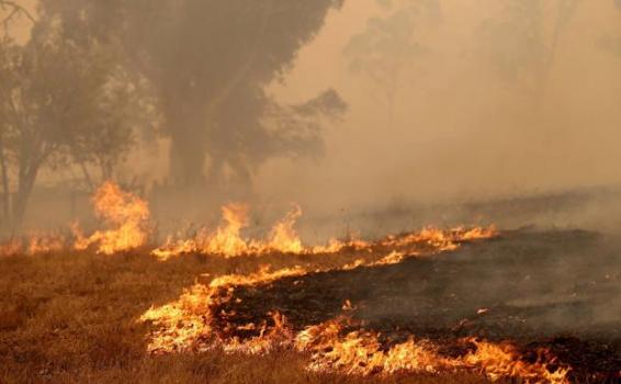 image for Evacuaciones en  Australia por incendios que ya dejan 17 muertos