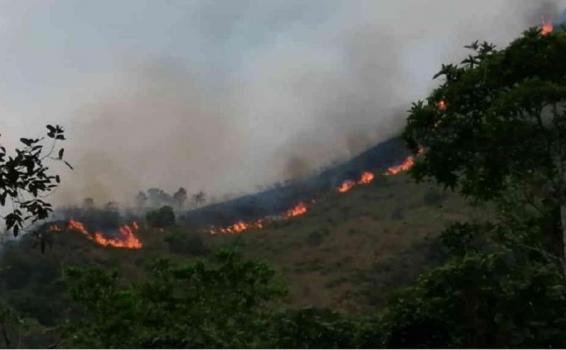 image for Incendios forestales en varios municipios de Cundinamarca 