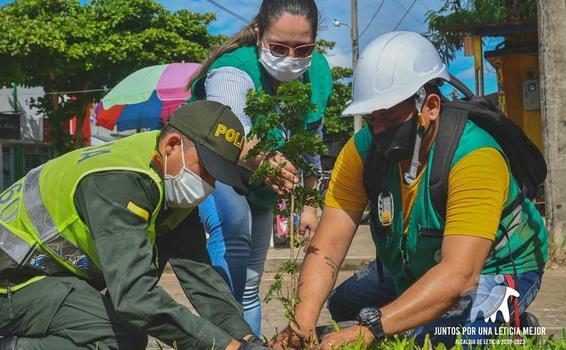 image for Día mundial del árbol | Reforestación de árboles frutales