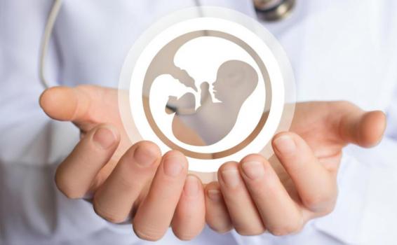 Aborto en su totalidad estaría cerca de ser despenalizado image for Aborto en su totalidad estaría cerca de ser despenalizado
