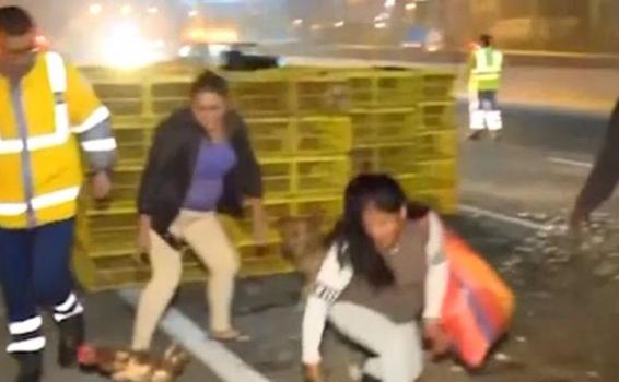 Camión con gallinas se vuelca y vecinos aprovechan el caos  image for Camión con gallinas se vuelca y vecinos aprovechan el caos