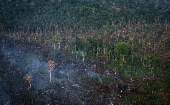 image for Amazonia brasileña el mayor número de incendios desde 2007