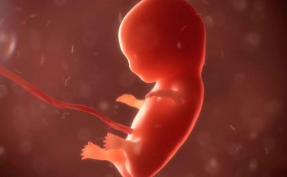 Corte Constitucional se declara inhibida para emitir un nuevo fallo alrededor del aborto image for Corte Constitucional se declara inhibida para emitir un nuevo fallo alrededor del aborto
