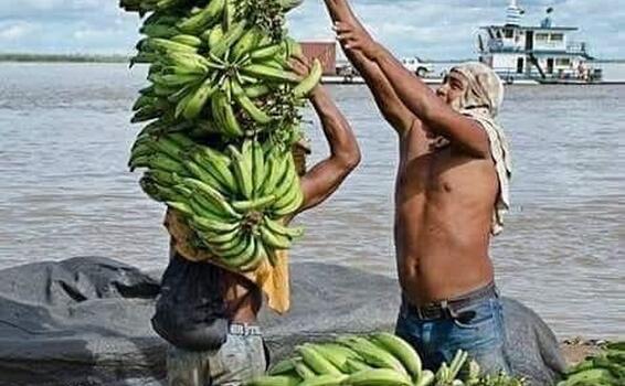 image for Precios del plátano se disparan