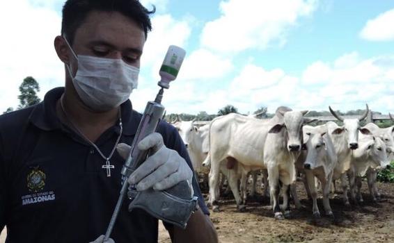 image for Segunda etapa da campanha terá cerca de 260 mil doses de vacina 