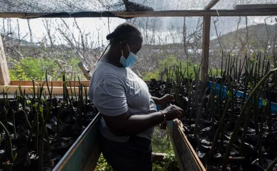 Colombia liderará el uso de aguas residuales en el sector agrícola image for Colombia liderará el uso de aguas residuales en el sector agrícola