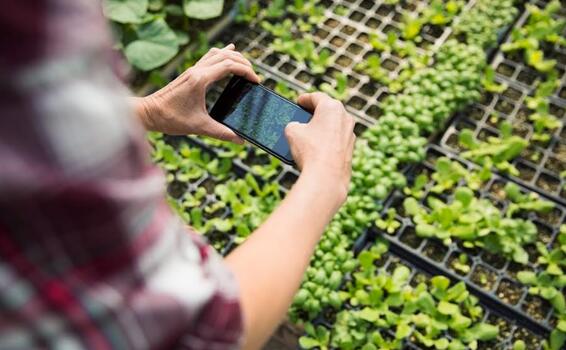 image for Cinco tendencias que favorecen el futuro de una agricultura sostenible