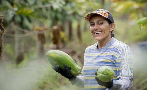 image for Gestión del riesgo y aseguramiento son tema del foro virtual sobre agro