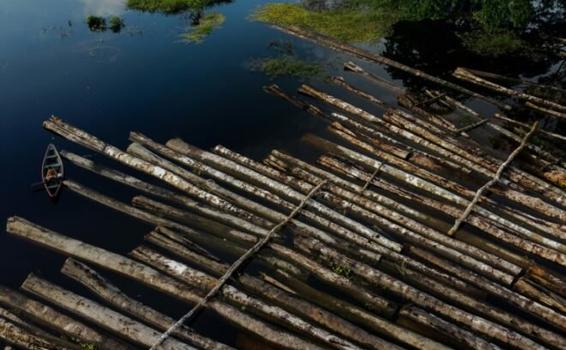 image for Amazonia bajo presión