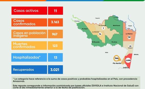 image for Reporte situacioal de la zona / Covid-19