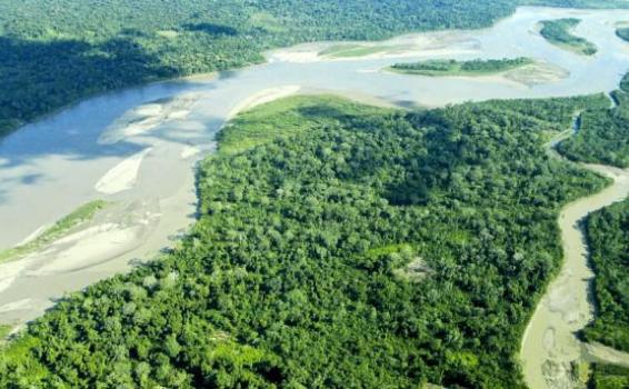 Cinco prioridades para salvar la Amazonía image for Cinco prioridades para salvar la Amazonía
