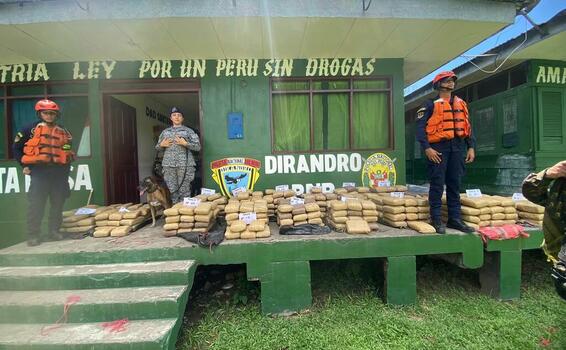 Incautada cerca de 500 kilogramos de marihuana image for Incautada cerca de 500 kilogramos de marihuana