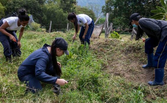 image for Actividad económica en Colombia crece en febrero