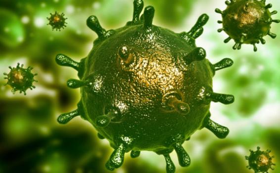 Nueva cepa de Manaos ataca rápido a los pulmones image for Nueva cepa de Manaos ataca rápido a los pulmones