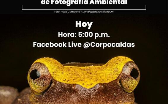 Hoy conocerás conocerás los ganadores del XVI Concurso de Fotografía Ambiental image for Hoy conocerás conocerás los ganadores del XVI Concurso de Fotografía Ambiental