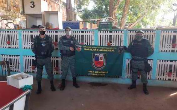 Polícia Militar desmonta rinha de galos image for Polícia Militar desmonta rinha de galos