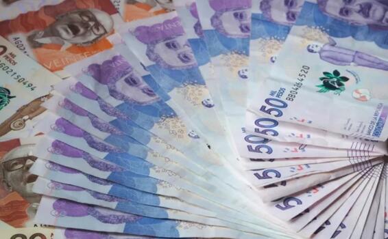 image for Propuesta para modificar los billetes que circulan en Colombia