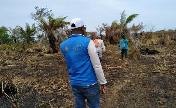 Personas caminando por una zona consumida por un incendio ya controlado