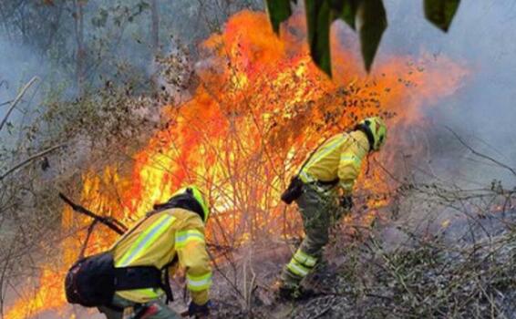 Aumentan recursos con nuevo presupuesto para los Bomberos de Antioquia image for Aumentan recursos con nuevo presupuesto para los Bomberos de Antioquia