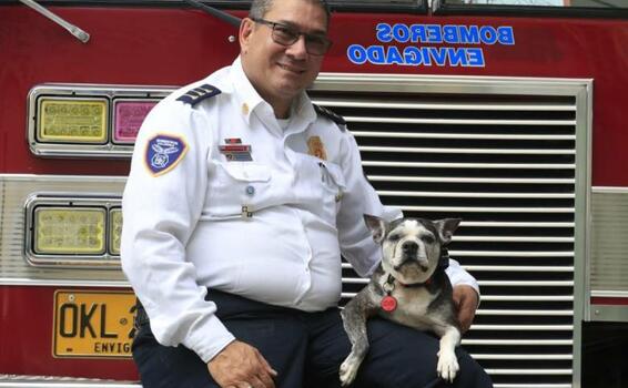 image for Perrita que ascendio a capitana de los bomberos de Envigado