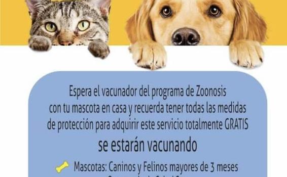 image for Programa de Zoonosis estará hoy vacunando
