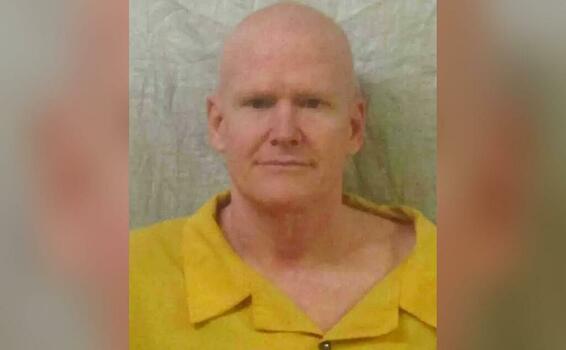 image for Alex Murdaugh shaves head for new mugshot 