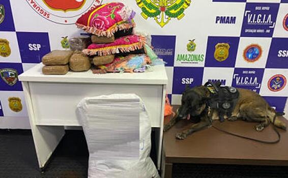 Policia Jade ajuda a apreender 7 kg de drogas image for Policia Jade ajuda a apreender 7 kg de drogas