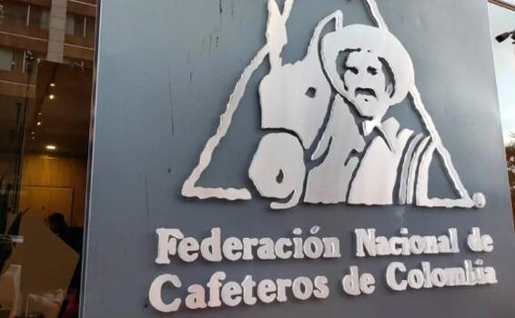 Federación de Cafeteros abre postulaciones para gerentes image for Federación de Cafeteros abre postulaciones para gerentes