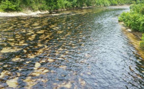 Oleoducto en Caño Limon