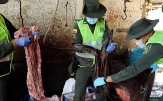 image for Estarían suministrando carne de burros enfermos en una cárcel 