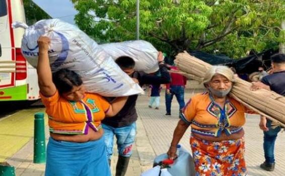 image for Centenares de familias desplazadas regresan a sus territorios