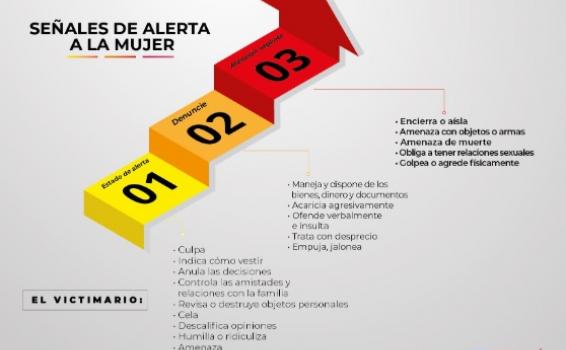 Imagen explicativa de los casos de Feminicidios en el 2019