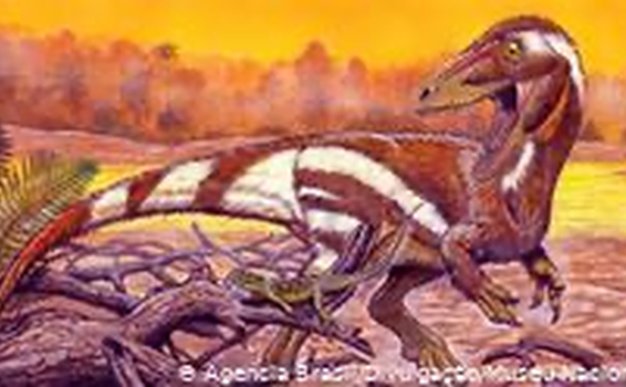 image for Novo dinossauro brasileiro é nomeado em homenagem ao Museu Nacional