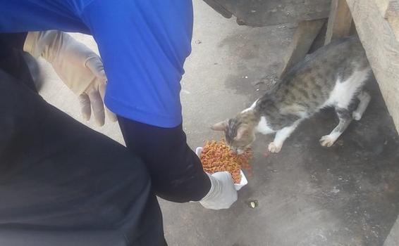 Mascotas que se encuentran en estado de abandono reciben alimentos image for Mascotas que se encuentran en estado de abandono reciben alimentos
