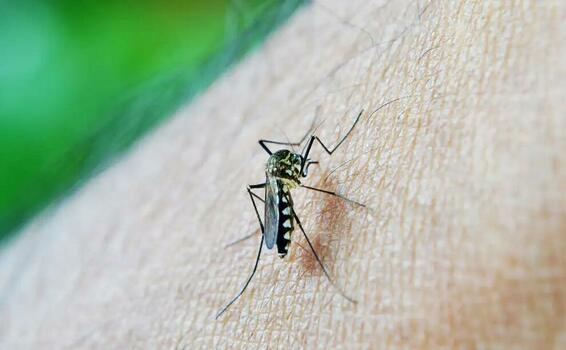 image for Brasil  tem mais de 3 milhões de casos de dengue em 2024