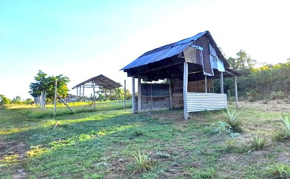 Desalojan a invasores de terrenos en Padre Cocha image for Desalojan a invasores de terrenos en Padre Cocha