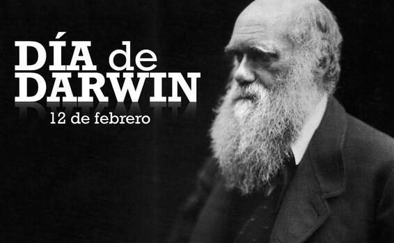 image for Día de Darwin