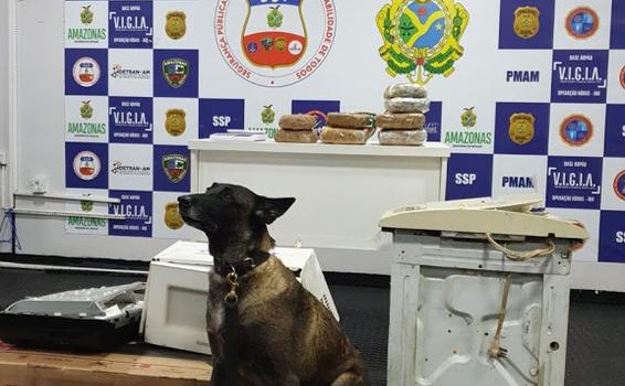 Apreendem mais de 7 quilos de drogas escondidas em embarcação image for Apreendem mais de 7 quilos de drogas escondidas em embarcação