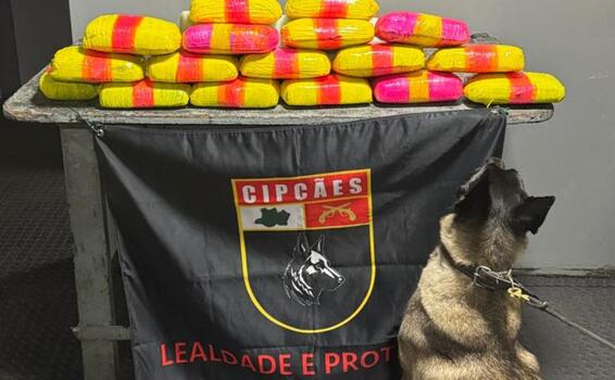 Polícia apreende 20 kg de drogas escondidos em bote durante navegação image for Polícia apreende 20 kg de drogas escondidos em bote durante navegação