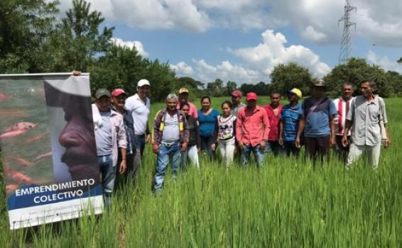 Emprendimientos colectivos de población vulnerable Personas en un campo siendo fotografidos