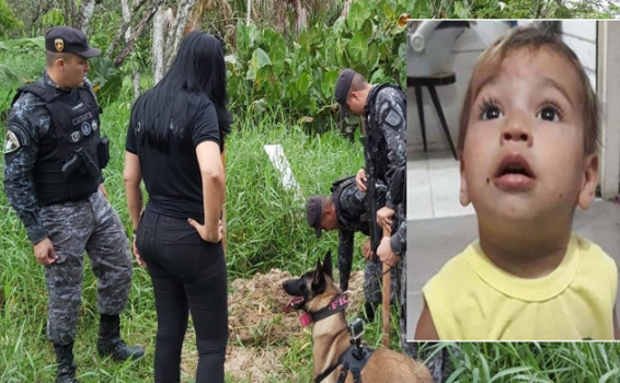 Cadela Fiona ajuda policiais nas buscas pelo menino Erlon Gabriel desparecido image for Cadela Fiona ajuda policiais nas buscas pelo menino Erlon Gabriel desparecido