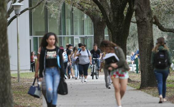 Florida unveils online tool to weigh universities based on pay, student debt image for Florida unveils online tool to weigh universities based on pay, student debt