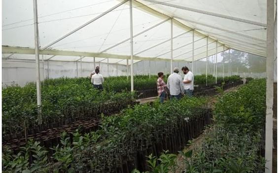 ICA entrega Casa Malla a vivero productor de cítricos en Risaralda image for ICA entrega Casa Malla a vivero productor de cítricos en Risaralda